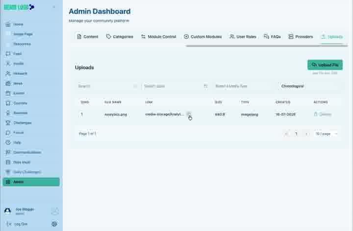 The file link can be copied directly from the Uploads record.